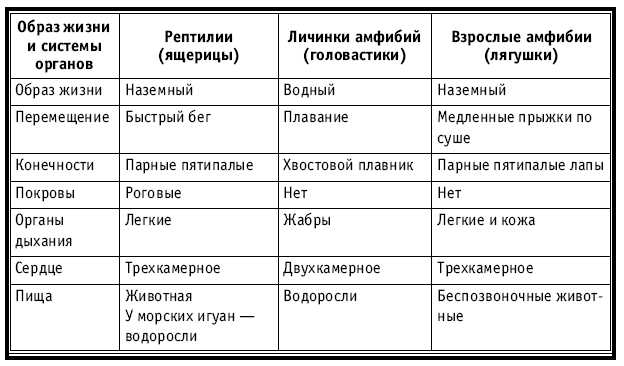 Сравнительная характеристика земноводных и пресмыкающихся по плану